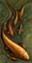 Click to veiw